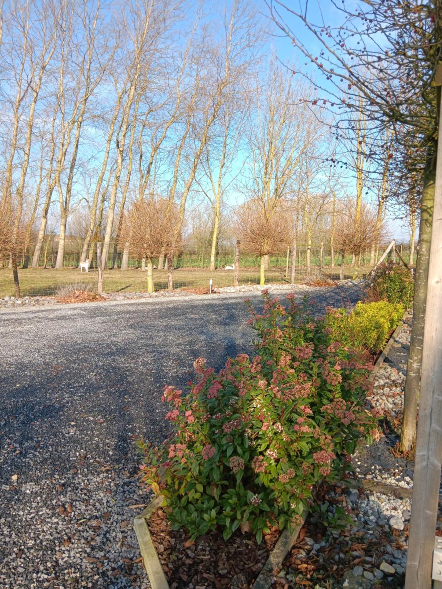La Chambre Des Daines Binche Esterno foto